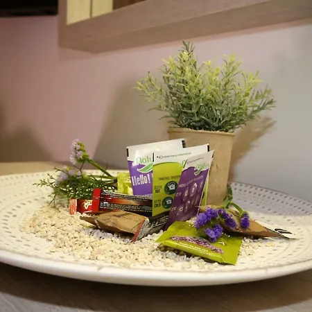 Pier Appart hôtel 4*